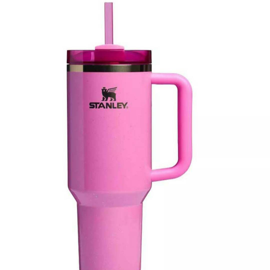 Stanley Quencher Tumbler - Wicked